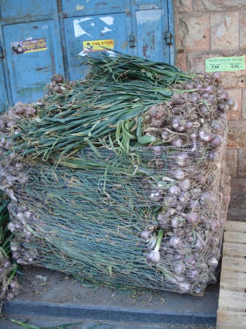 Fresh garlic at Machne Yehuda