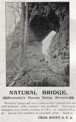 The 41st installment of UK's Sesquicentennial Series remembers Natural Bridge as a popular leisure and educational travel locale for students and faculty of the institution. Photo courtesy of UK Special Collections. 