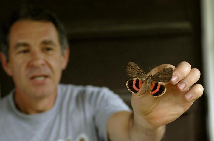 Biology professor Jim Krupa holds a butterfly. 
