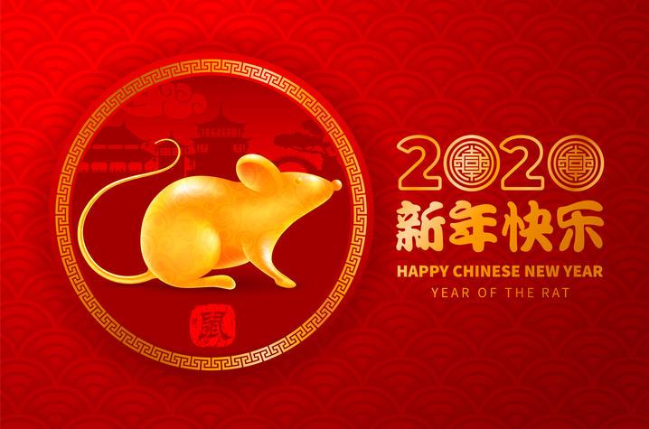 A graphic showingn the Chinese year of the rat. 