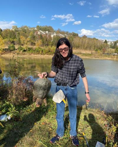 A woman stands beside a body of water, holding a turtle.