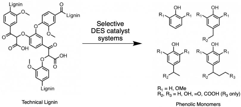 Lignin valorization